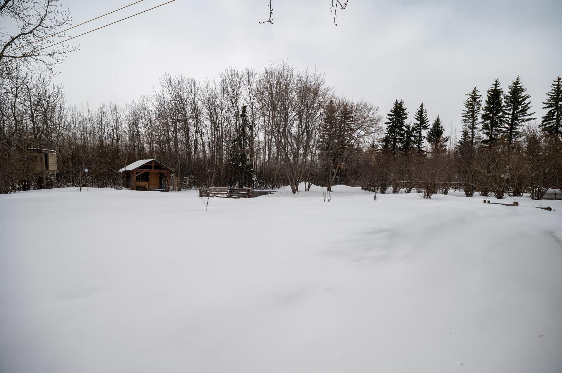 Open yard in the country acreage delivery demo