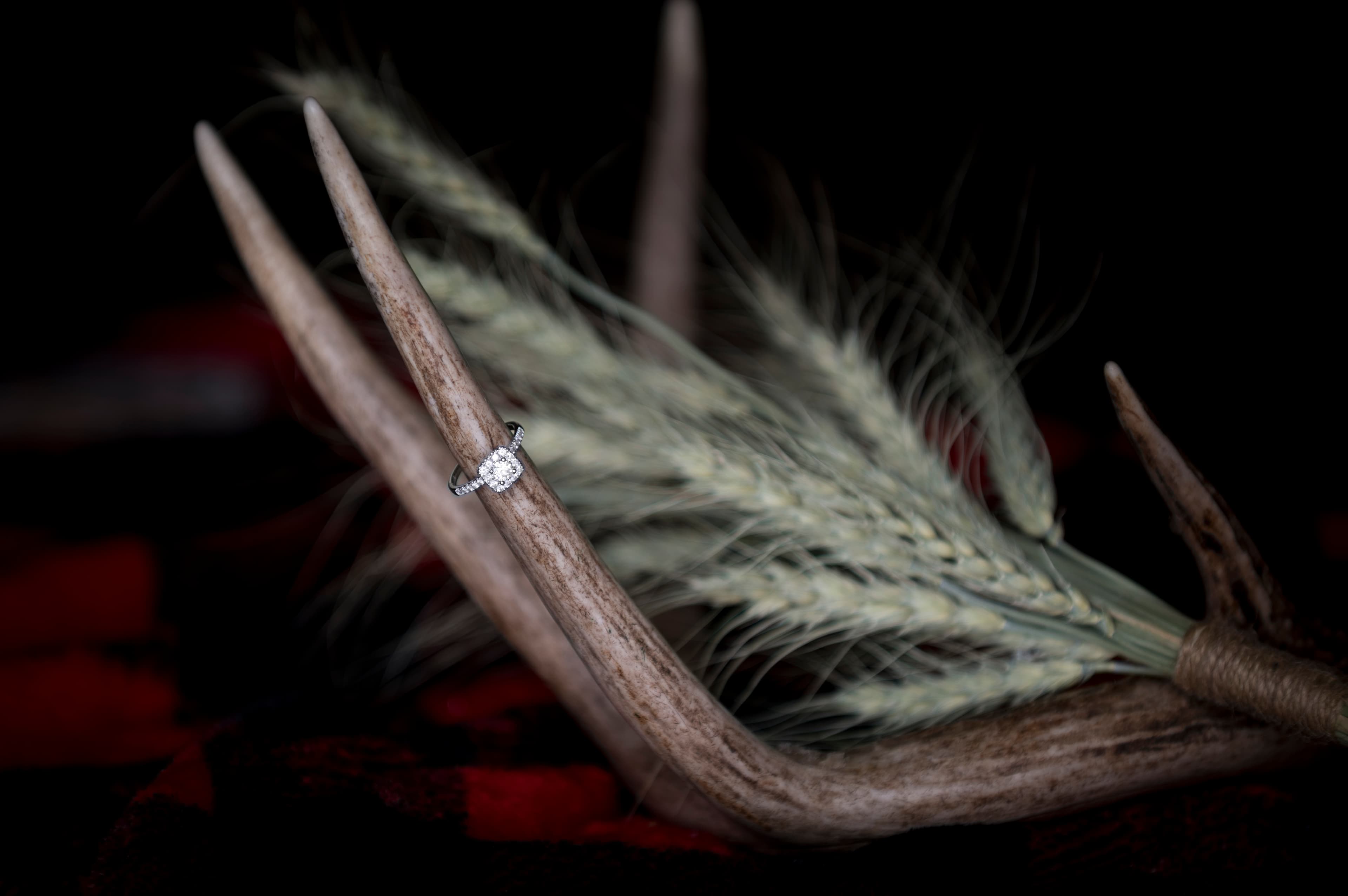 Engagement ring arranged on antlers and wheat