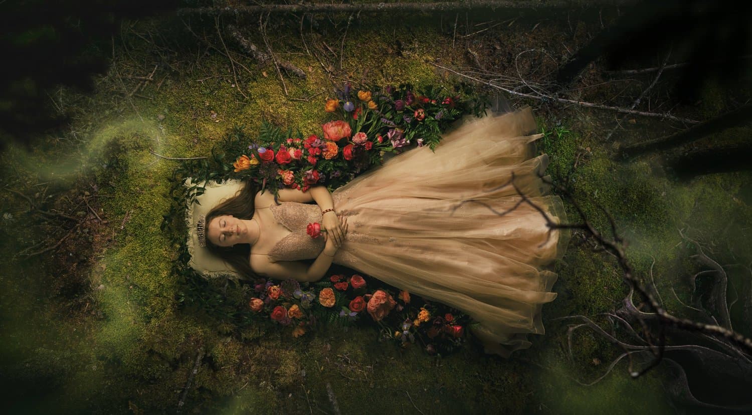Creative portrait photography by Back Forty